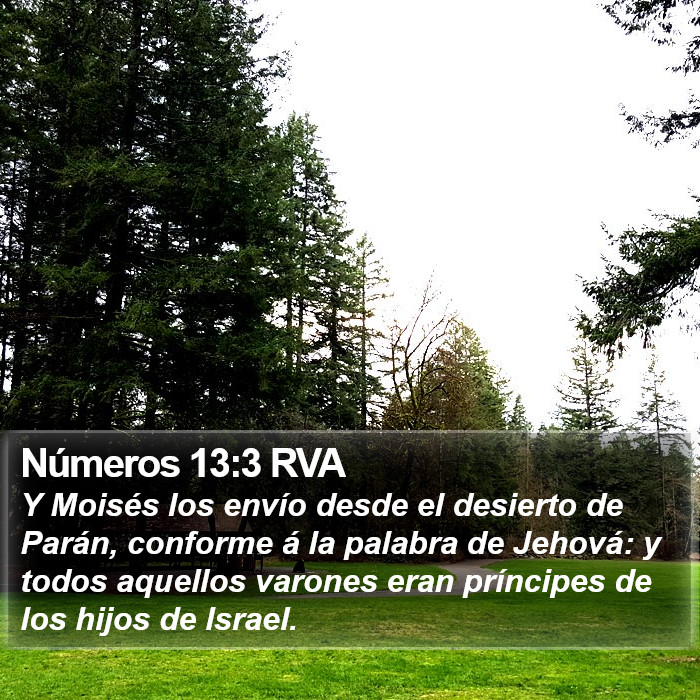 Números 13:3 RVA Bible Study
