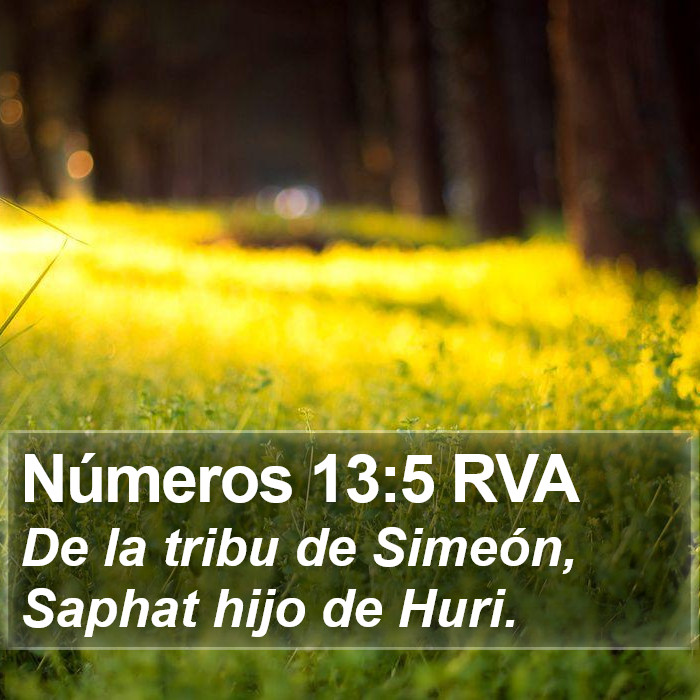 Números 13:5 RVA Bible Study