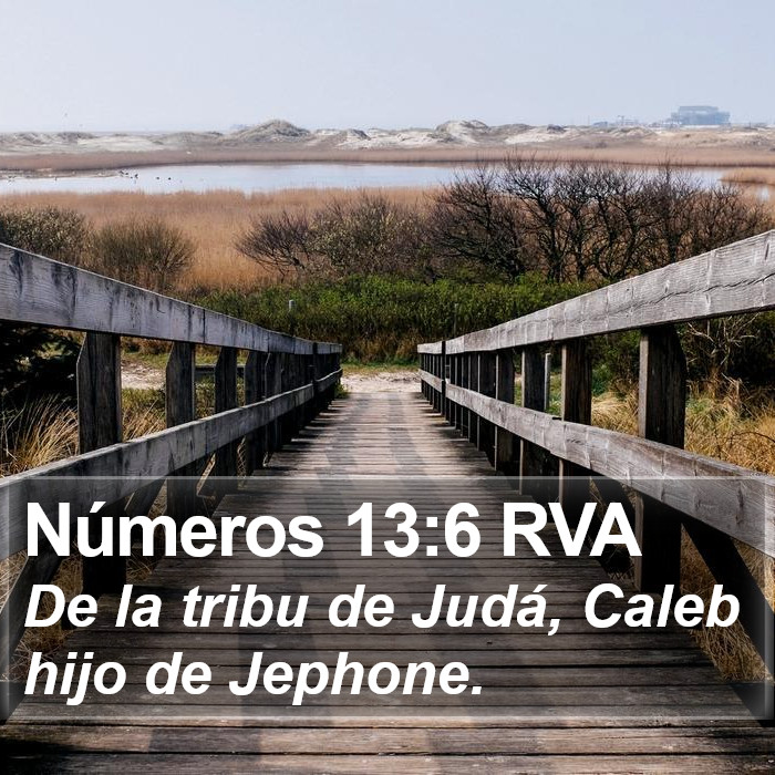 Números 13:6 RVA Bible Study