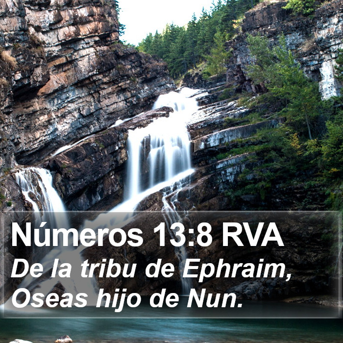 Números 13:8 RVA Bible Study