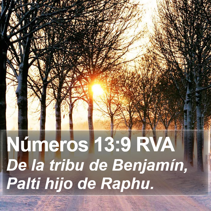 Números 13:9 RVA Bible Study