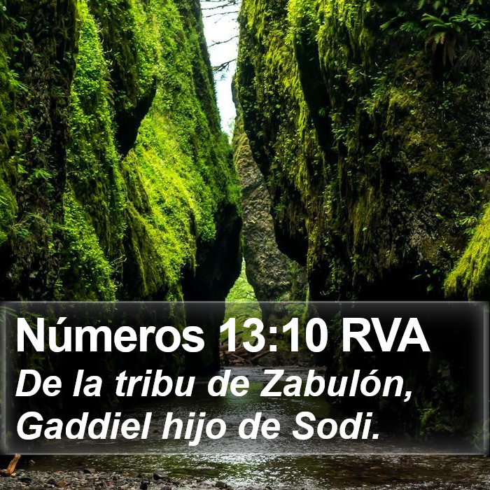 Números 13:10 RVA Bible Study