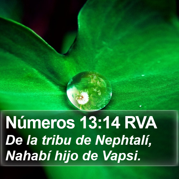 Números 13:14 RVA Bible Study