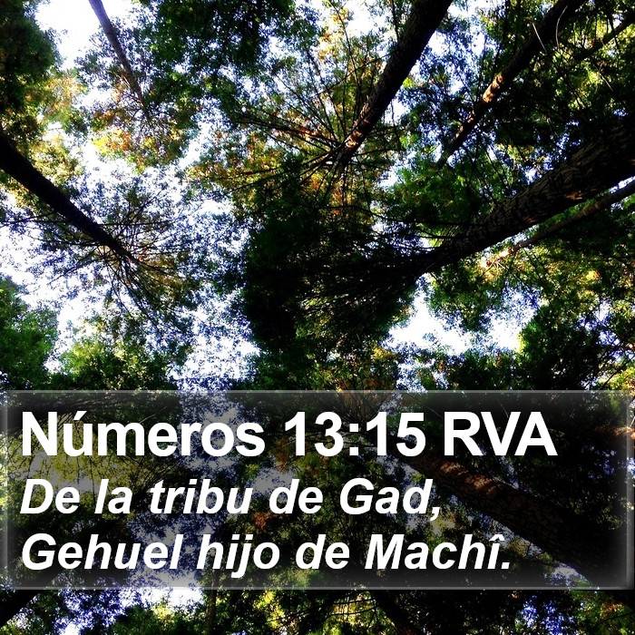 Números 13:15 RVA Bible Study