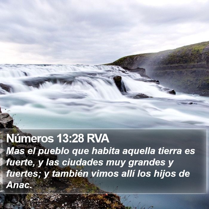 Números 13:28 RVA Bible Study