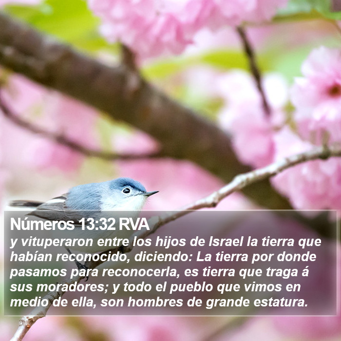 Números 13:32 RVA Bible Study