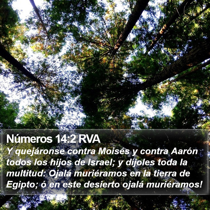 Números 14:2 RVA Bible Study