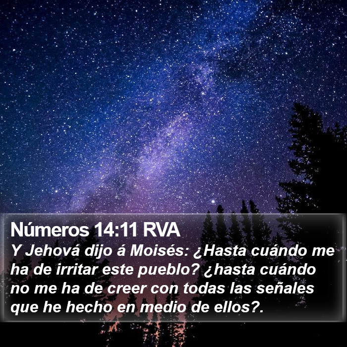 Números 14:11 RVA Bible Study