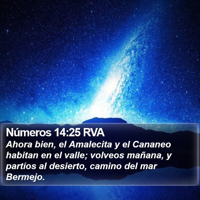 Números 14:25 RVA Bible Study