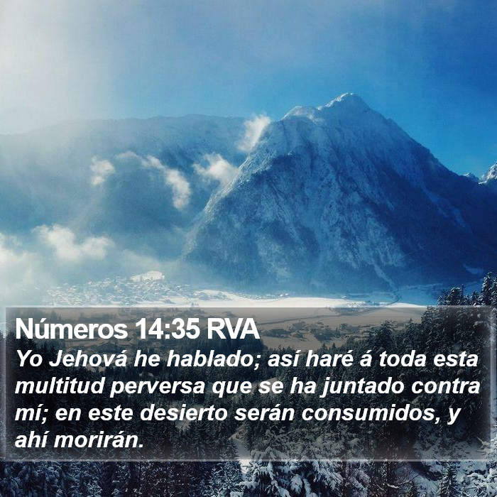 Números 14:35 RVA Bible Study