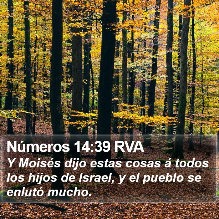 Números 14:39 RVA Bible Study