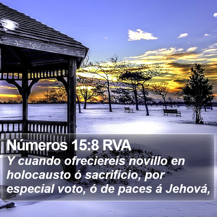 Números 15:8 RVA Bible Study