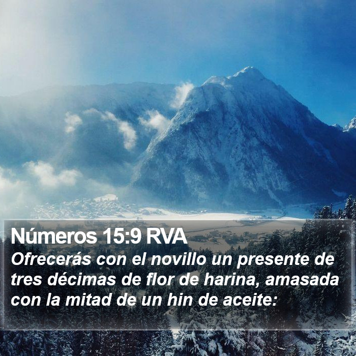 Números 15:9 RVA Bible Study