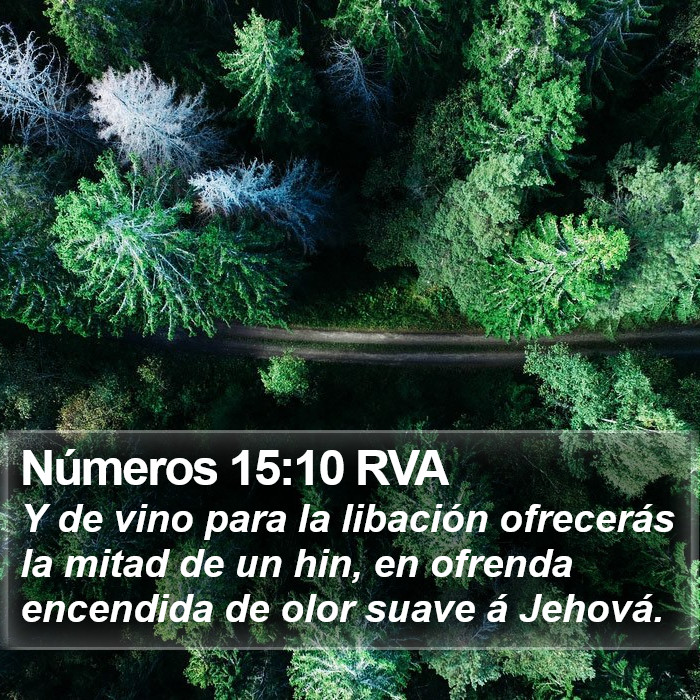 Números 15:10 RVA Bible Study