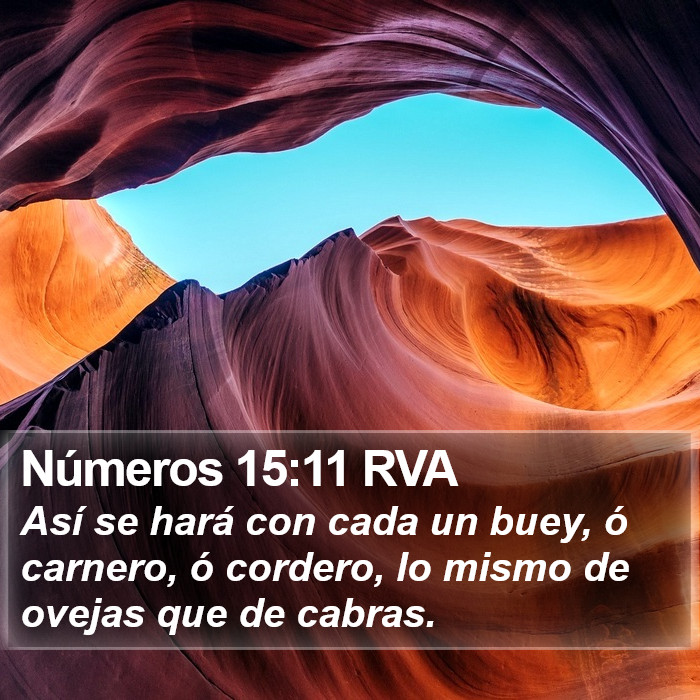 Números 15:11 RVA Bible Study