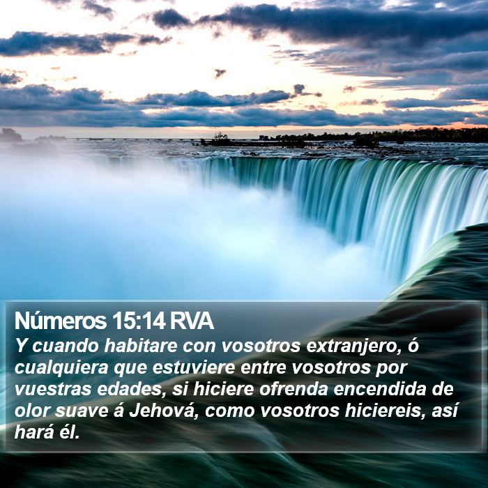 Números 15:14 RVA Bible Study