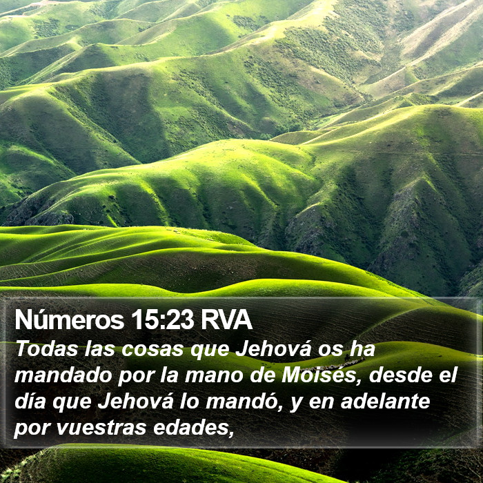 Números 15:23 RVA Bible Study