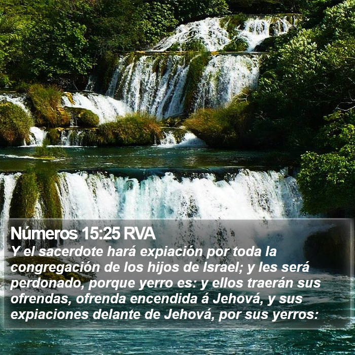 Números 15:25 RVA Bible Study