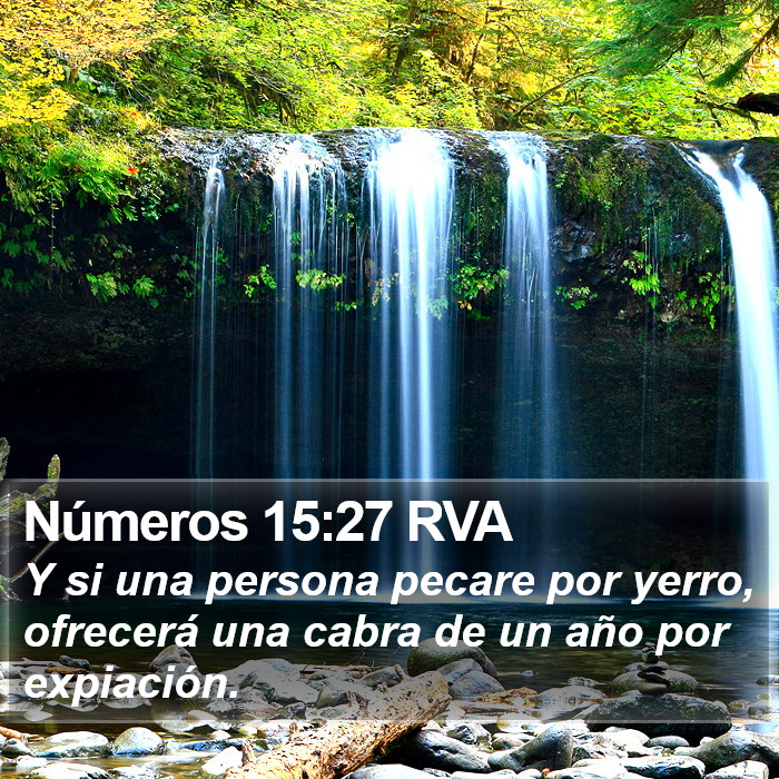 Números 15:27 RVA Bible Study