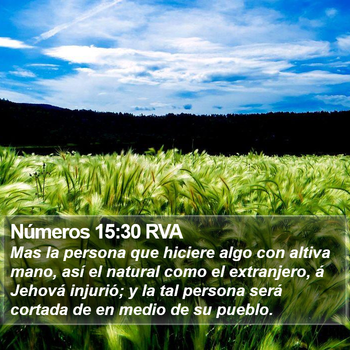 Números 15:30 RVA Bible Study