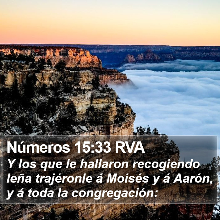 Números 15:33 RVA Bible Study