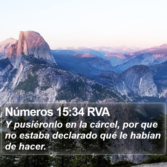 Números 15:34 RVA Bible Study