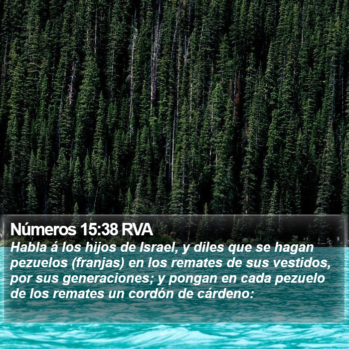 Números 15:38 RVA Bible Study