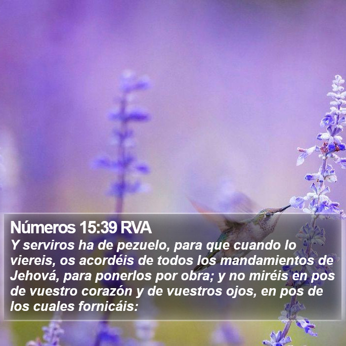 Números 15:39 RVA Bible Study