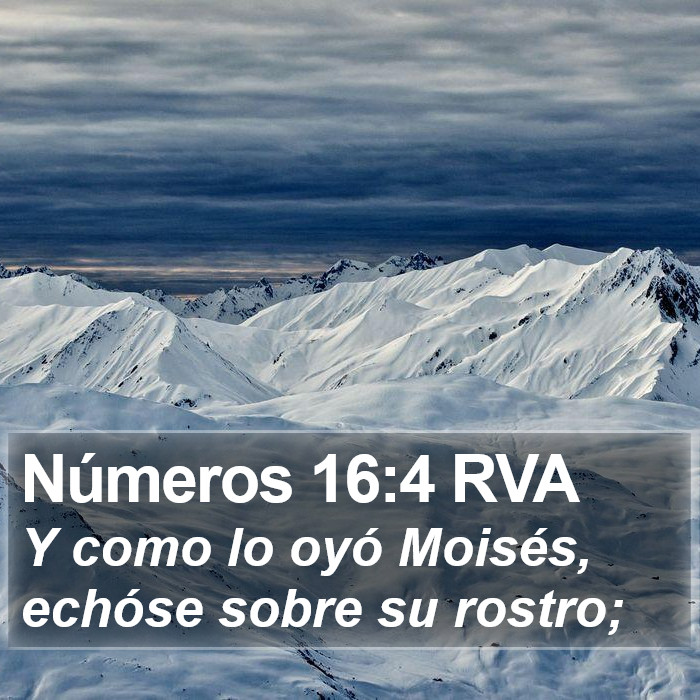Números 16:4 RVA Bible Study