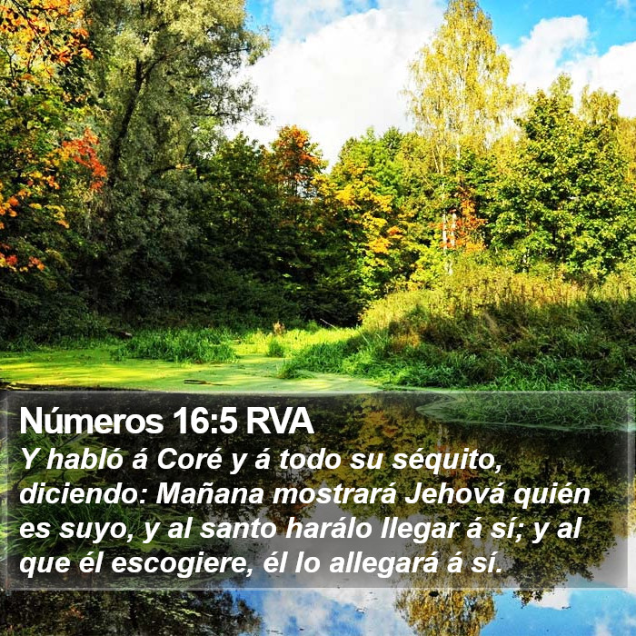 Números 16:5 RVA Bible Study