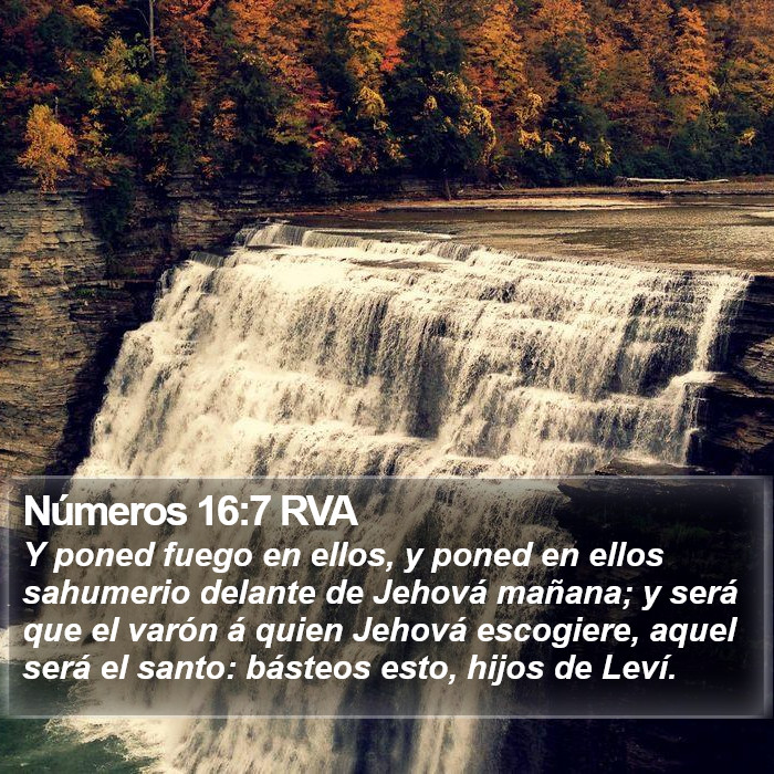 Números 16:7 RVA Bible Study