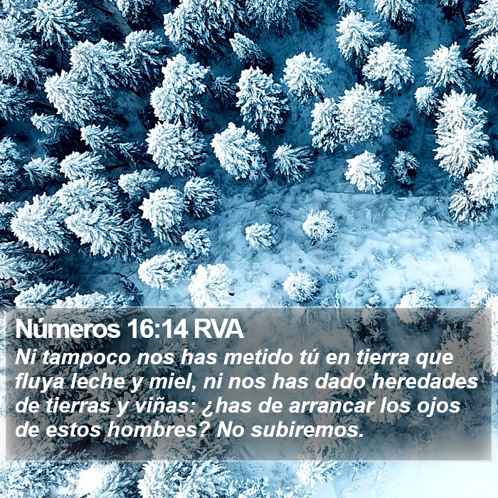 Números 16:14 RVA Bible Study