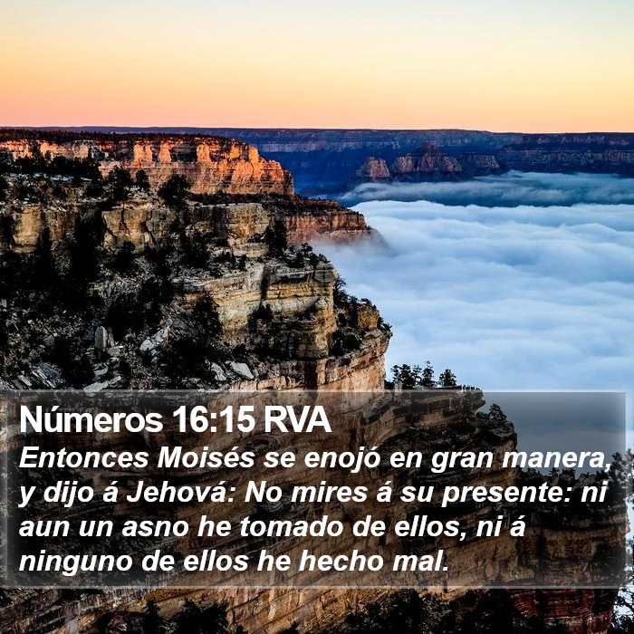 Números 16:15 RVA Bible Study