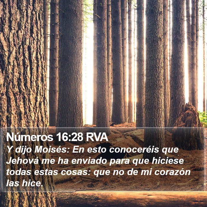 Números 16:28 RVA Bible Study