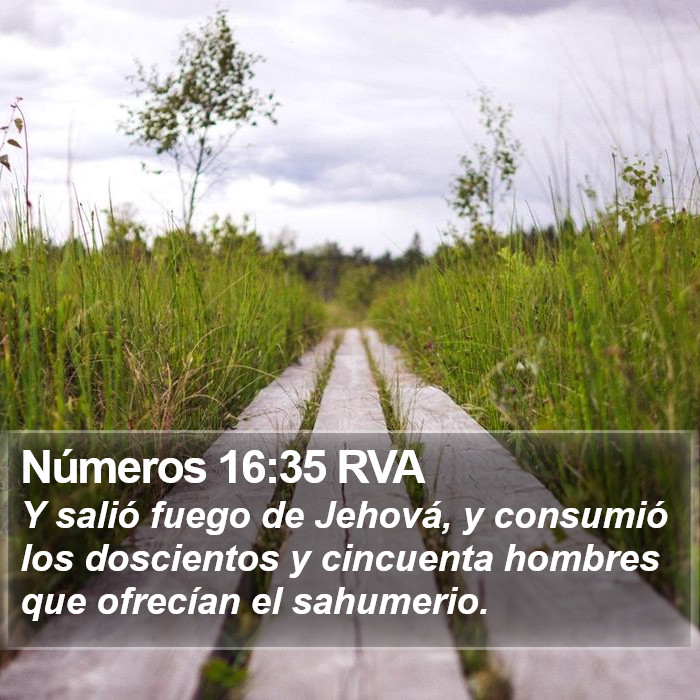 Números 16:35 RVA Bible Study