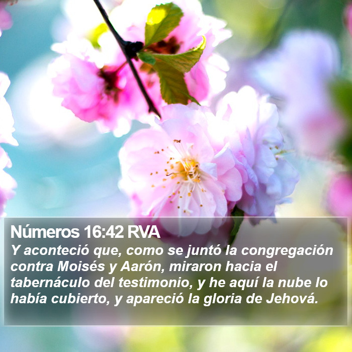 Números 16:42 RVA Bible Study