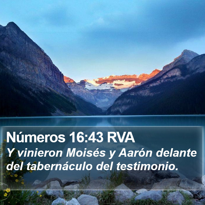 Números 16:43 RVA Bible Study