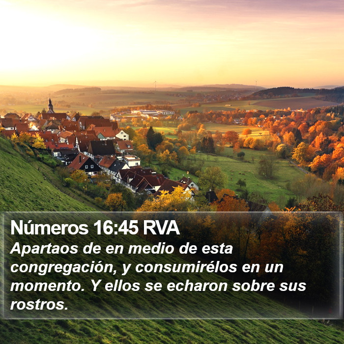 Números 16:45 RVA Bible Study