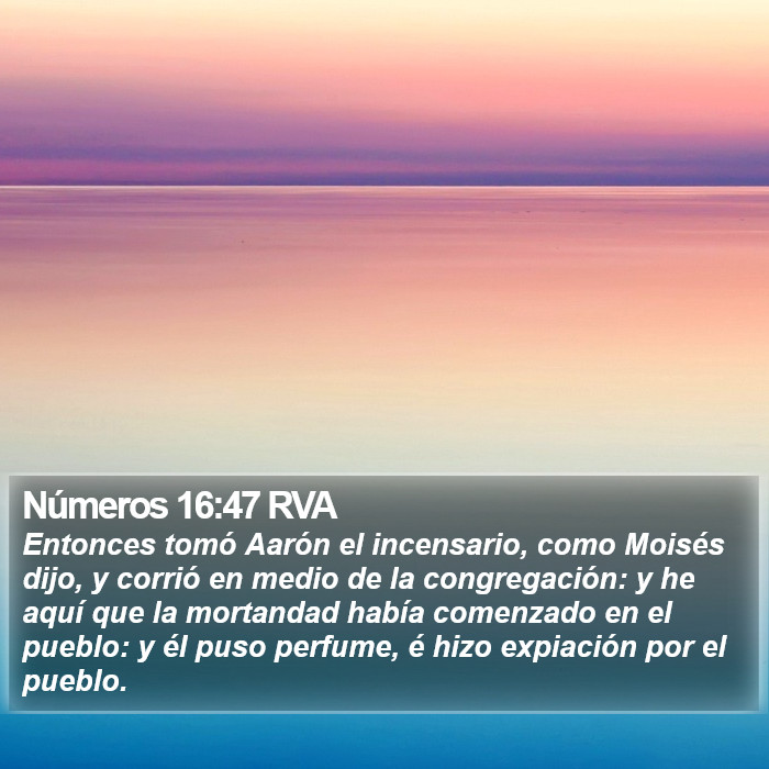 Números 16:47 RVA Bible Study