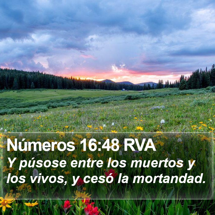 Números 16:48 RVA Bible Study