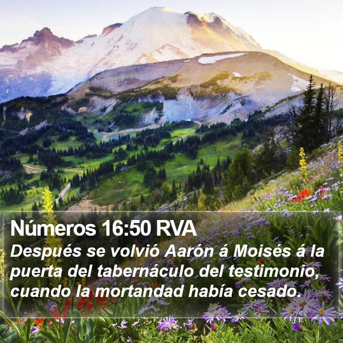 Números 16:50 RVA Bible Study