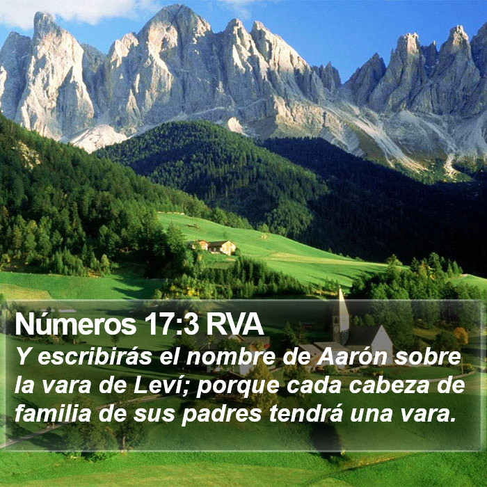 Números 17:3 RVA Bible Study