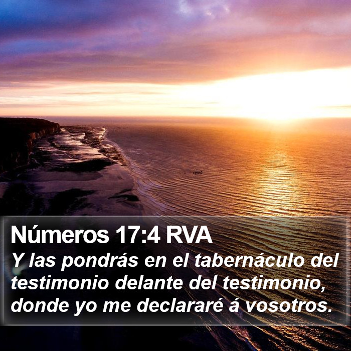 Números 17:4 RVA Bible Study