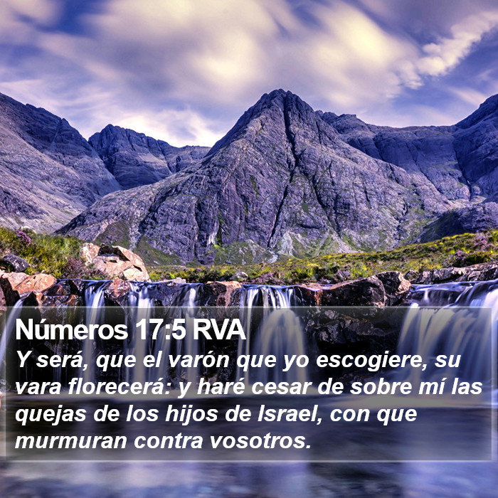 Números 17:5 RVA Bible Study