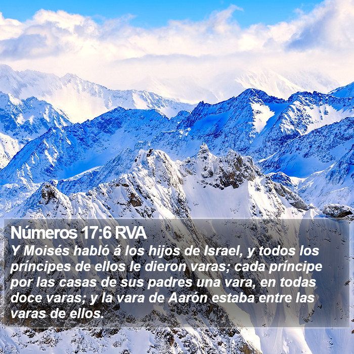 Números 17:6 RVA Bible Study