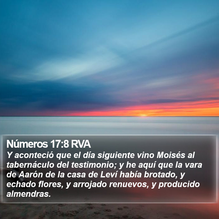 Números 17:8 RVA Bible Study