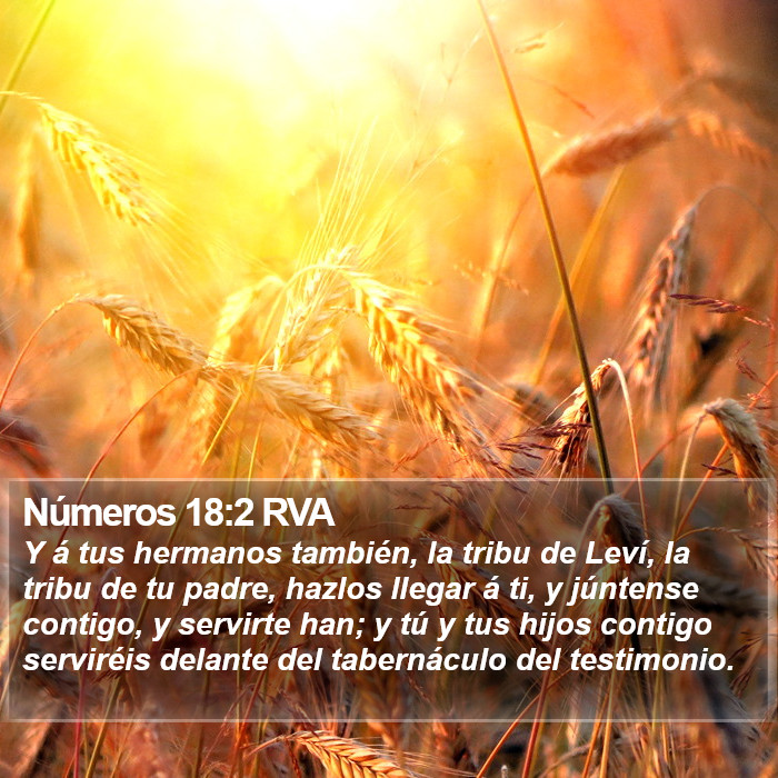 Números 18:2 RVA Bible Study