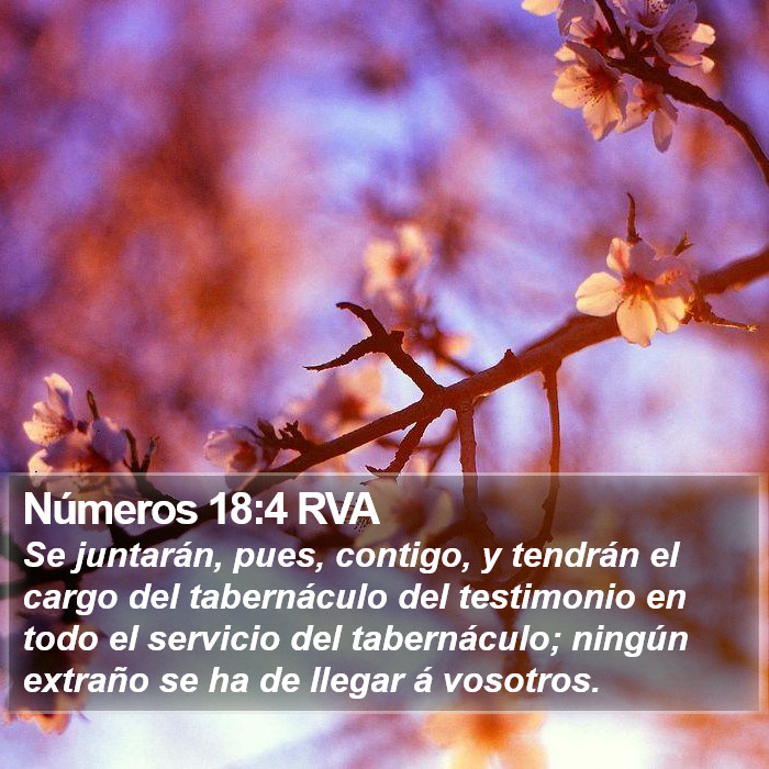 Números 18:4 RVA Bible Study