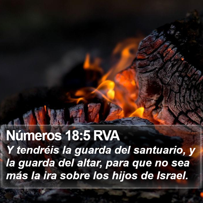 Números 18:5 RVA Bible Study