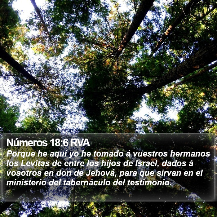 Números 18:6 RVA Bible Study